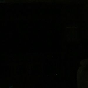 Meet your Posher, Misty